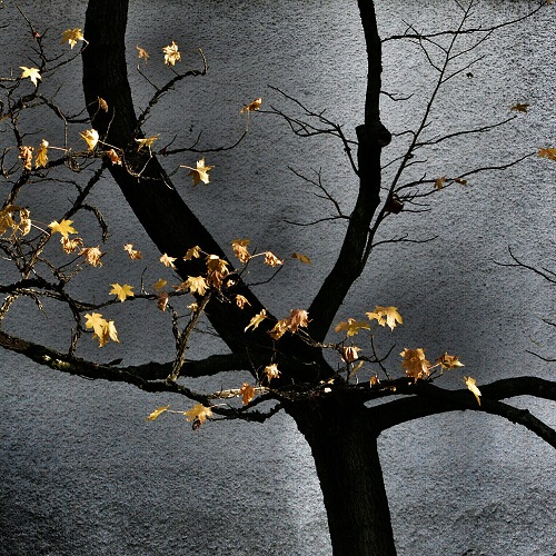 Was heute schön&nbsp;war