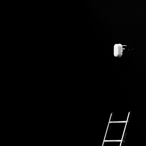 Guinness & Wittgenstein